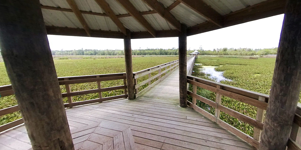 Cattail Marsh - Beaumont, Texas | I-10 Exit Guide